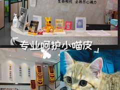 -半岛宠物医院24小时(科华中路店)