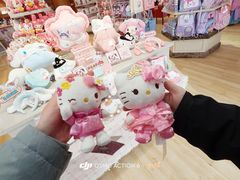 -安吉Hello Kitty乐园