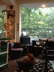 iphone_upload_pic-SALON V