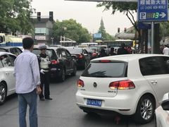 -嘉定紫藤园