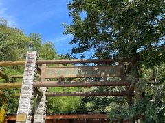 -牛背梁国家森林公园