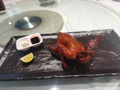 -侨美·唐荔园·40年地道粤菜