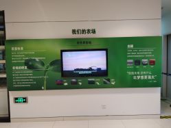 -安利上海体验馆