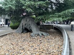 -侵华日军南京大屠杀遇难同胞纪念馆-停车场