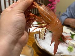 -和创柚子·会席日本料理(新区淮海街店)