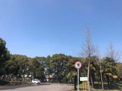 -胜华驾校·小猫学车(银都店)