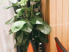 -解家河南菜(商鼎路店)