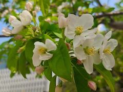 -北京园博大酒店