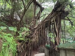 -乌山风景区