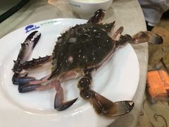 -春华海鲜城(广场西苑店)
