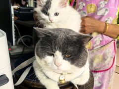 -山坑河鲜(昆仲楼店)