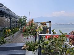 -野菌皇海景野生菌火锅(滨海大道店)