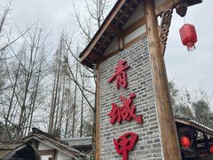 -青城甲(青城山店)