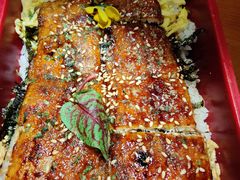 -鳗鱼家·深夜食堂(军博店)