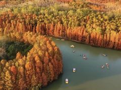 -上海海湾国家森林公园