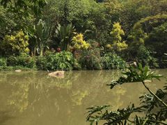 -云溪植物园