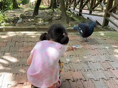-吉隆坡雀鸟公园