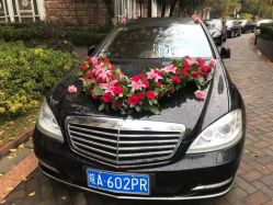 -蚂蚁婚车