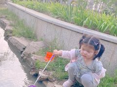 -皇粮浜湿地公园