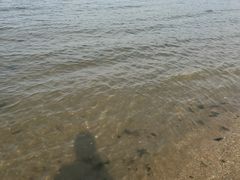 -海滨浴场