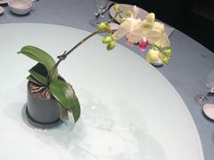 -久宴·天目湖大鱼头(恐龙园店)