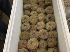 -恋铁板烧(阳光新生活广场店)
