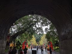 -东西巷