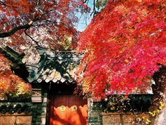 -青岛崂山太清宫