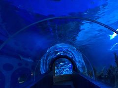 -成都浩海立方海洋公园