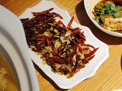 -滇铺子·云南特色菜·第九届野生菌美食节(东风东路c86店)