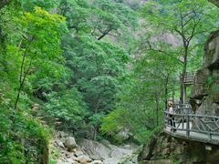 -大鄣山卧龙谷景区
