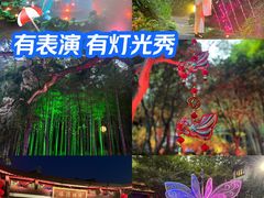-杭州黄龙洞
