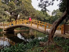 -晓港公园