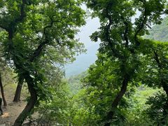 -鹫峰国家森林公园