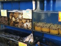 水产区-蚝专家(北滘店)