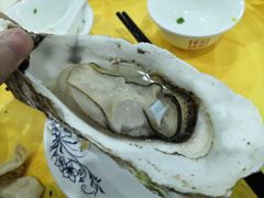 -蚝专家(北滘店)