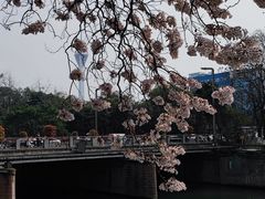 -红星桥(地铁站)
