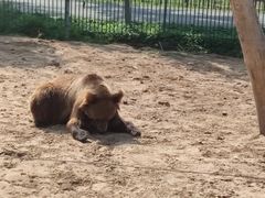 -秦皇岛野生动物园