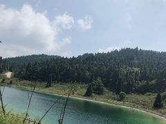 -武陵山森林公园