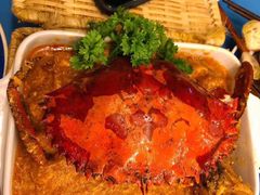 -茉莉.Red Crab