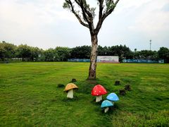 -广东花都香草世界旅游度假区