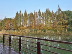 -阳澄湖费尔蒙酒店