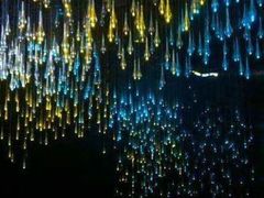 -怀托摩萤火虫洞