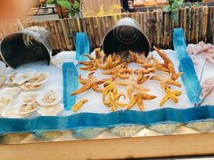 -新艺自助美食城(中山路店)