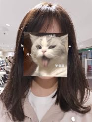 -崇尚GAVIN STYLE