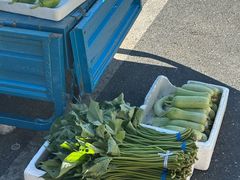 -东天目山风景区