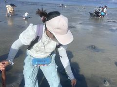 -红树林天天赶海