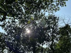 -梧桐山风景名胜区