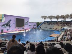 -北戴河圣蓝海洋公园