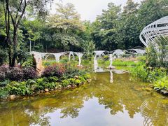 -深圳仙湖植物园